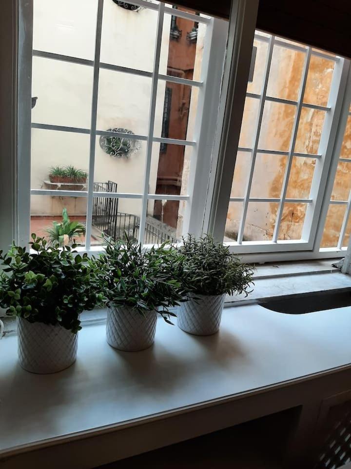 Charming Loft In Piazza Di Spagna Apartamento Roma Exterior foto